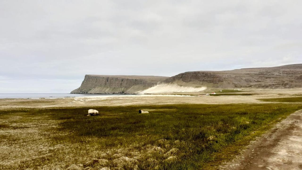 Guesthouse Bjarmaland Talknafjordur Exterior photo
