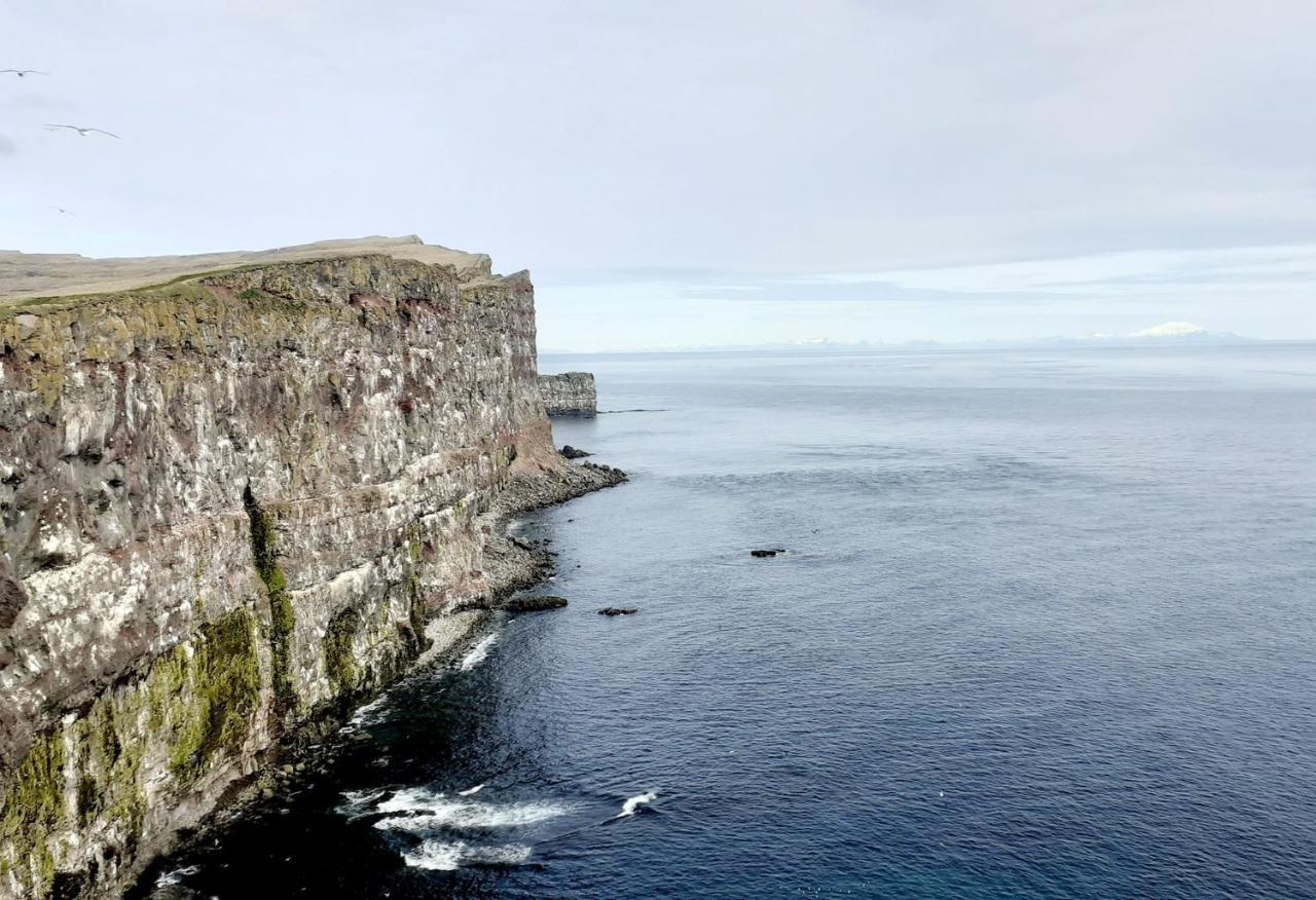 Guesthouse Bjarmaland Talknafjordur Exterior photo